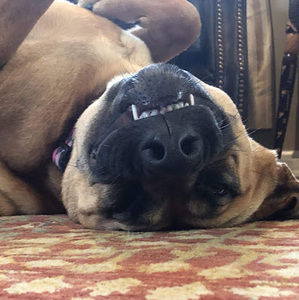 Meet your Posher, What'suppup?